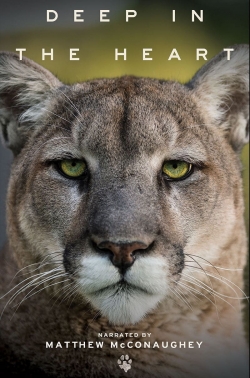 Deep in the Heart: A Texas Wildlife Story full