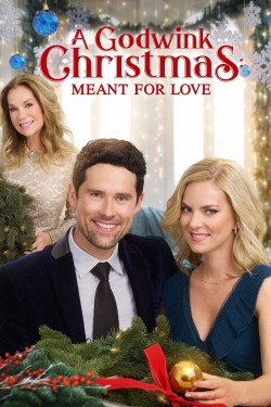 A Godwink Christmas: Meant For Love full