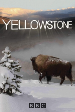 Yellowstone full