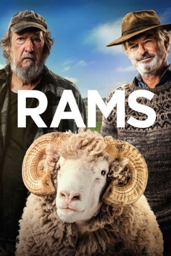 Rams full