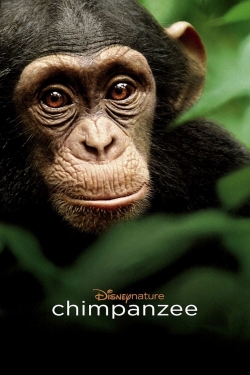 Chimpanzee full