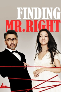 Finding Mr. Right full