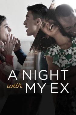 A Night with My Ex full