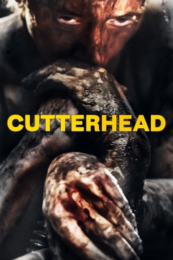 Cutterhead full