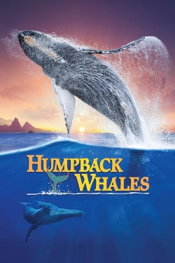 Humpback Whales full