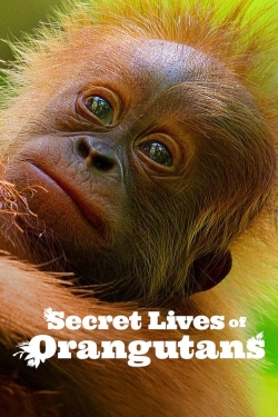 Secret Lives of Orangutans full