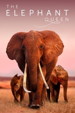 The Elephant Queen full