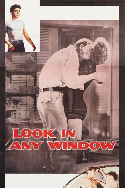 Look in Any Window full