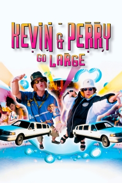 Kevin & Perry Go Large full