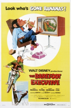 The Barefoot Executive full