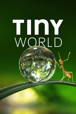 Tiny World full