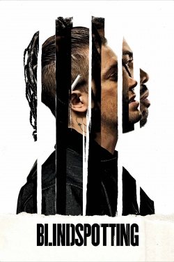 Blindspotting full