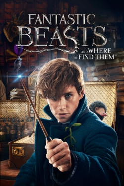 Fantastic Beasts and Where to Find Them full