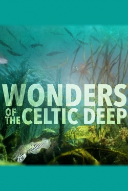 Wonders of the Celtic Deep full