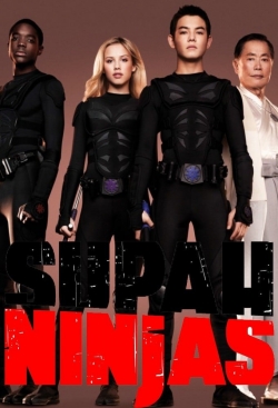 Supah Ninjas full