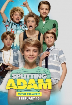 Splitting Adam full